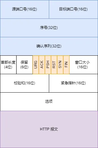TCP报文